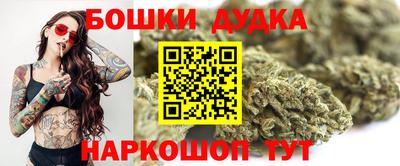 стаф Новокубанск