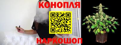 каннабис Новозыбков