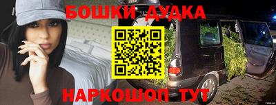 стаф Новокубанск
