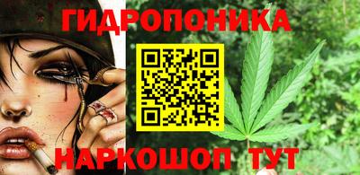 стаф Новокубанск