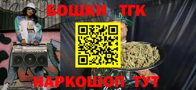 МДПВ Новодвинск