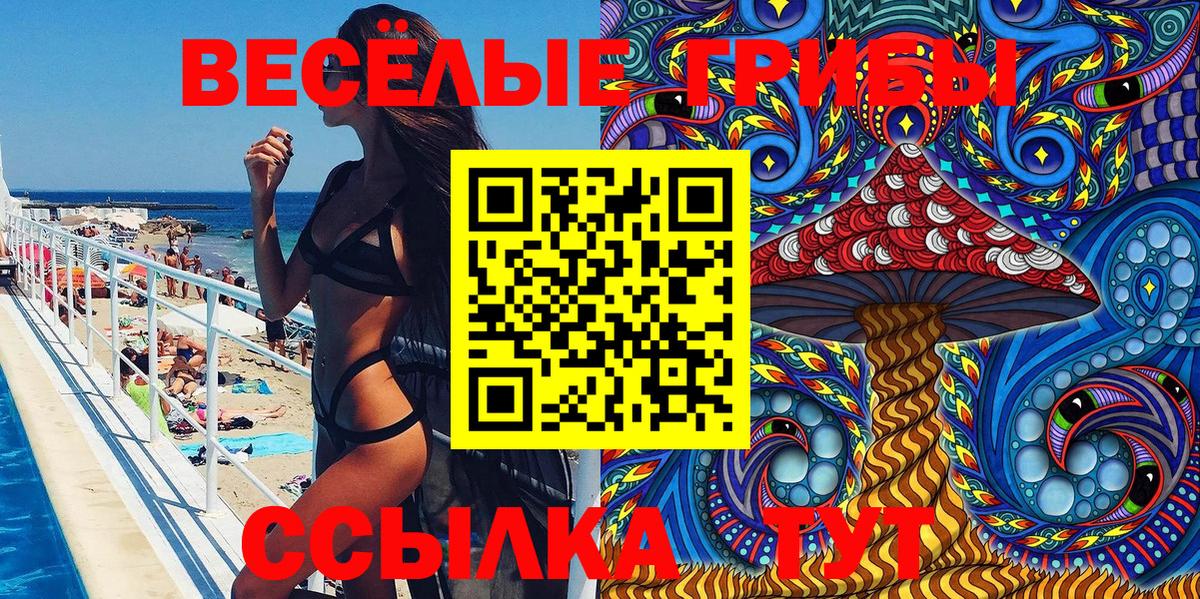 Псилоцибиновые грибы прущие грибы Славянск-на-Кубани