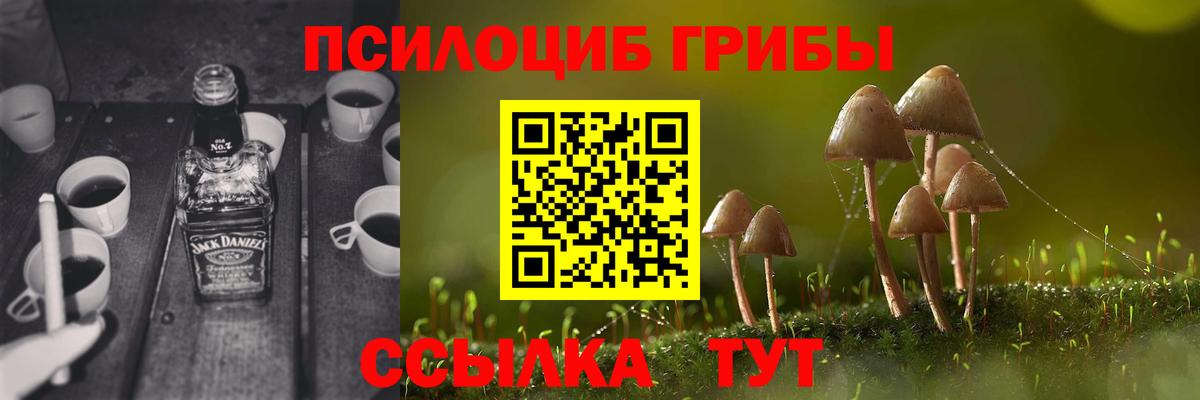 Славянск-на-Кубани  Галлюциногенные грибы Psilocybe  Вход с VPN 